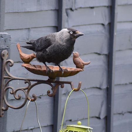 The Gem Bed & Breakfast Winchelsea Bagian luar foto