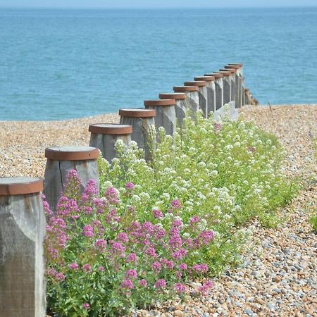 The Gem Bed & Breakfast Winchelsea Bagian luar foto