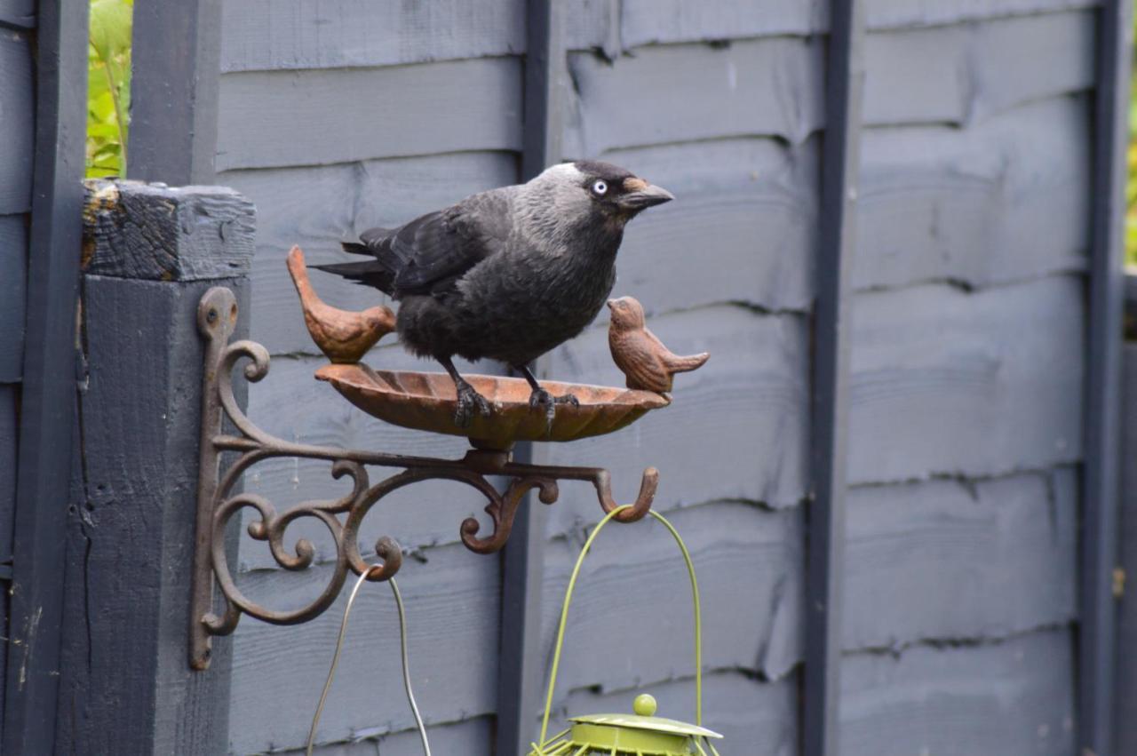 The Gem Bed & Breakfast Winchelsea Bagian luar foto