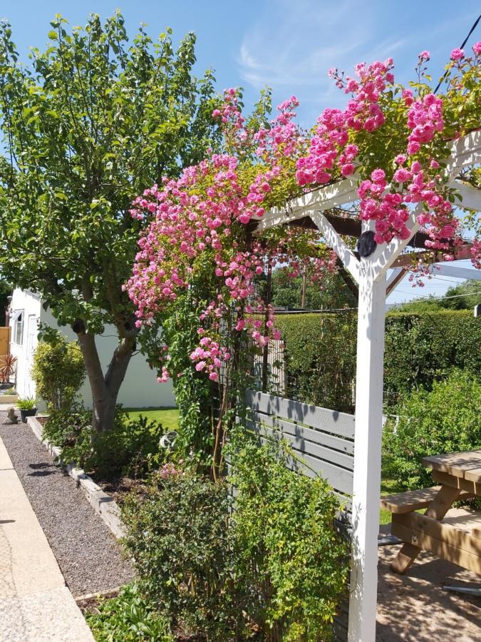 The Gem Bed & Breakfast Winchelsea Bagian luar foto
