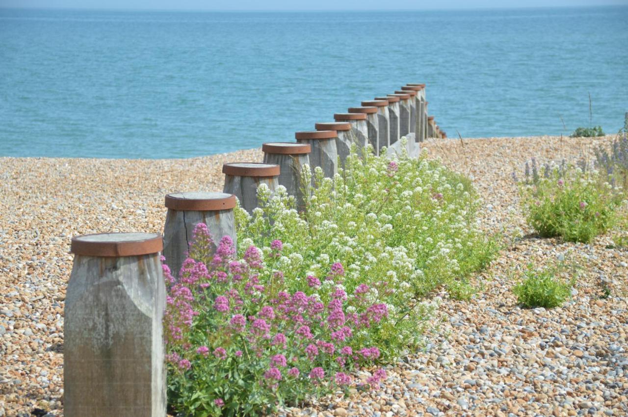 The Gem Bed & Breakfast Winchelsea Bagian luar foto