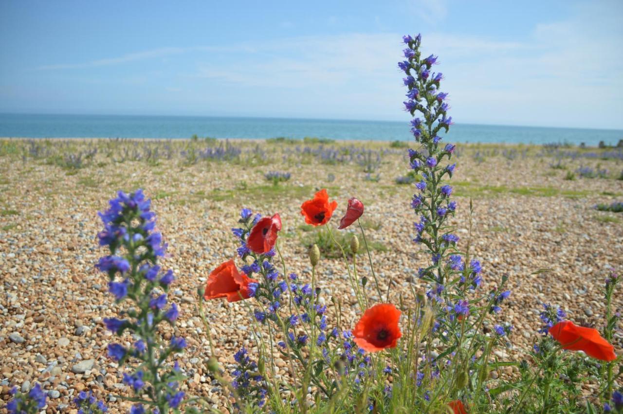 The Gem Bed & Breakfast Winchelsea Bagian luar foto